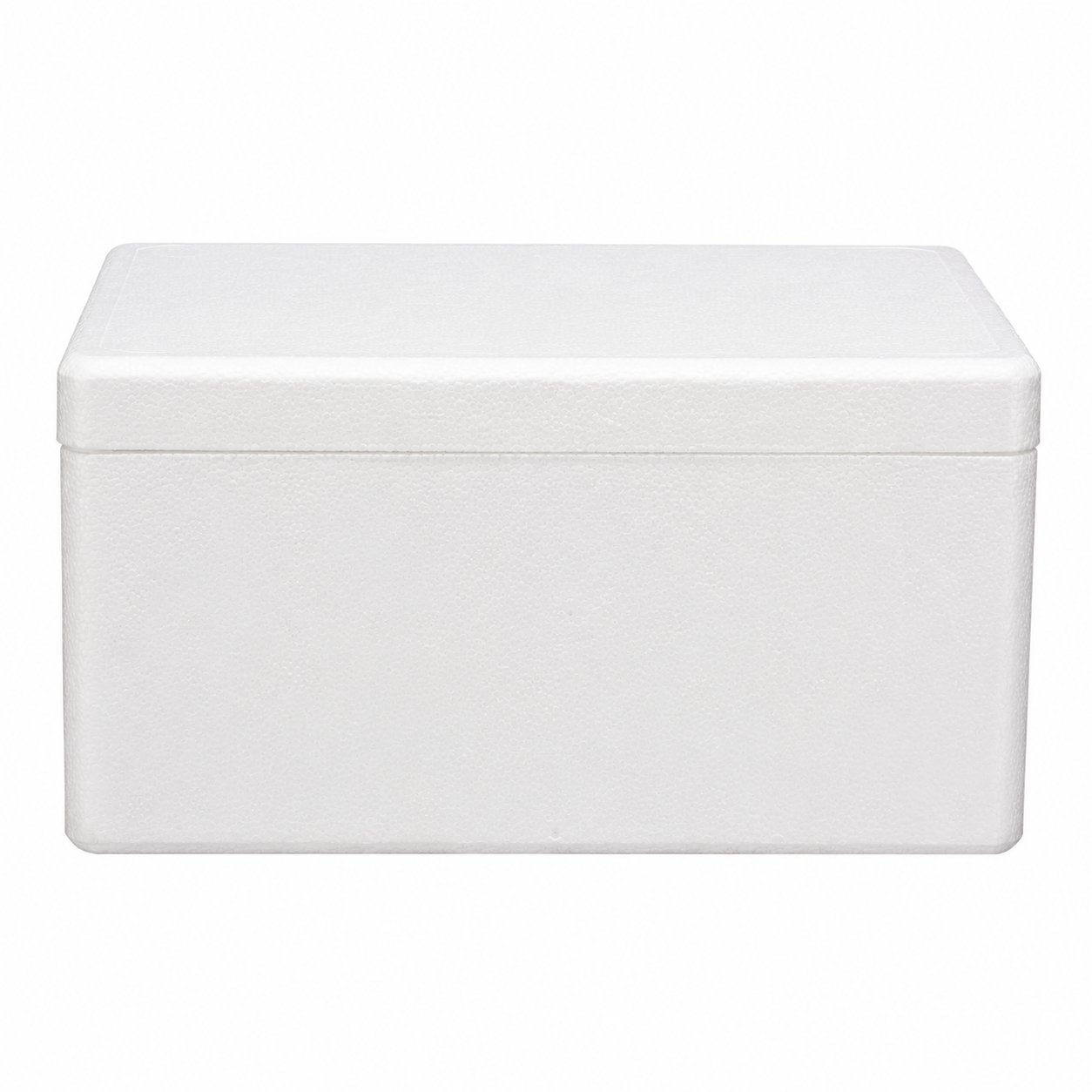 Insulated Foam Shipping Box, Thermal Cooler & Ice Box for Perishables